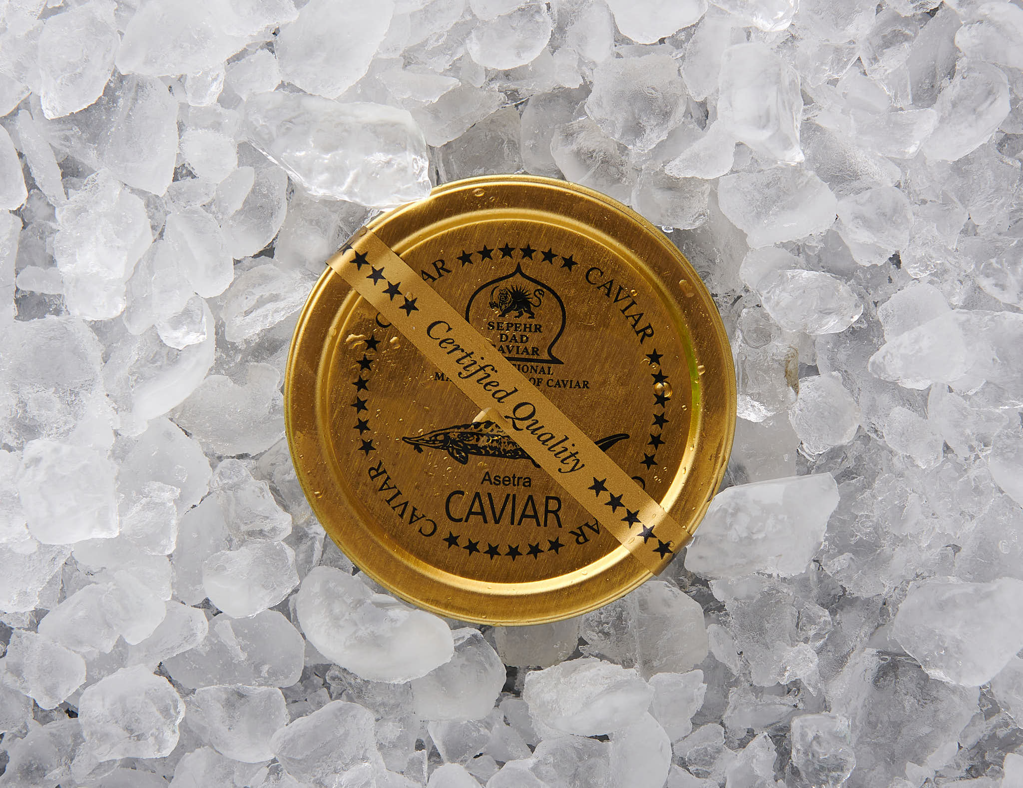 Asetra Caviar - SEPEHR DAD CAVIAR