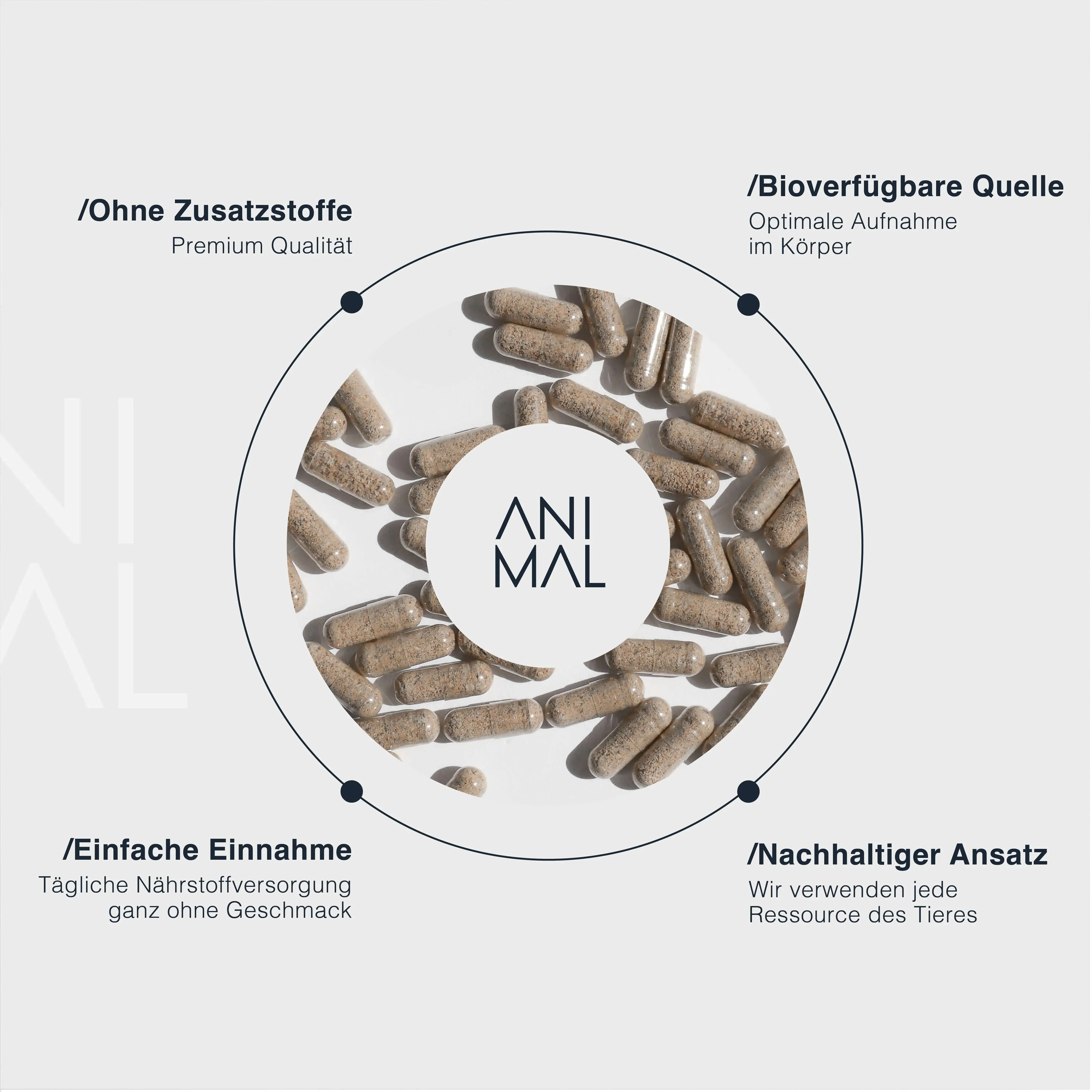 Female Complex - Grass Fed Organs mit Austern - Image 3