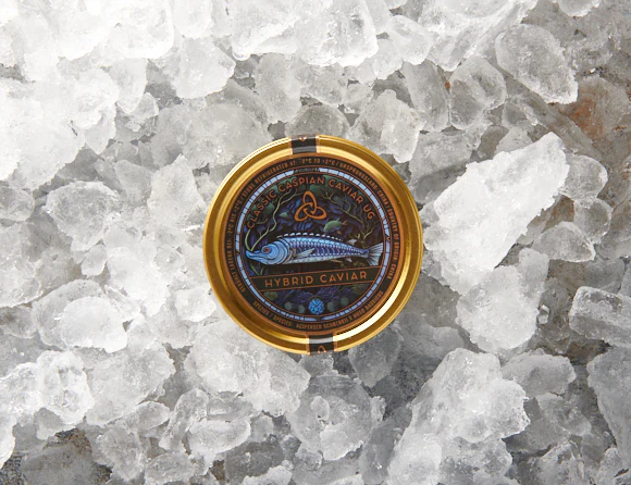Golden Hybrid - Classic Caspian Caviar
