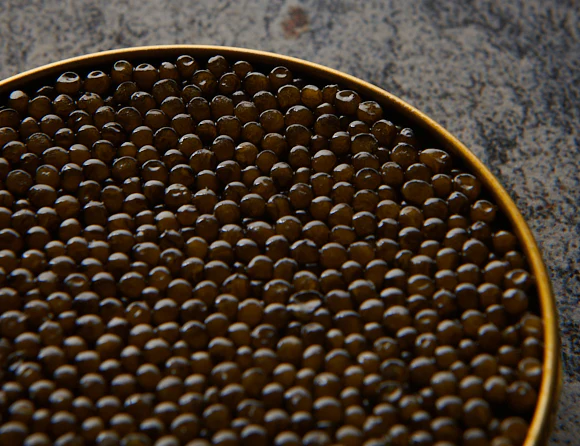 Golden Hybrid - Classic Caspian Caviar - Image 2