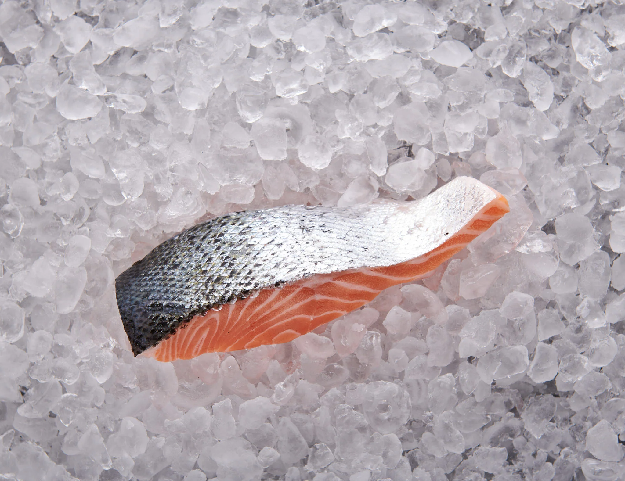 Norwegischer Lachs - Image 2