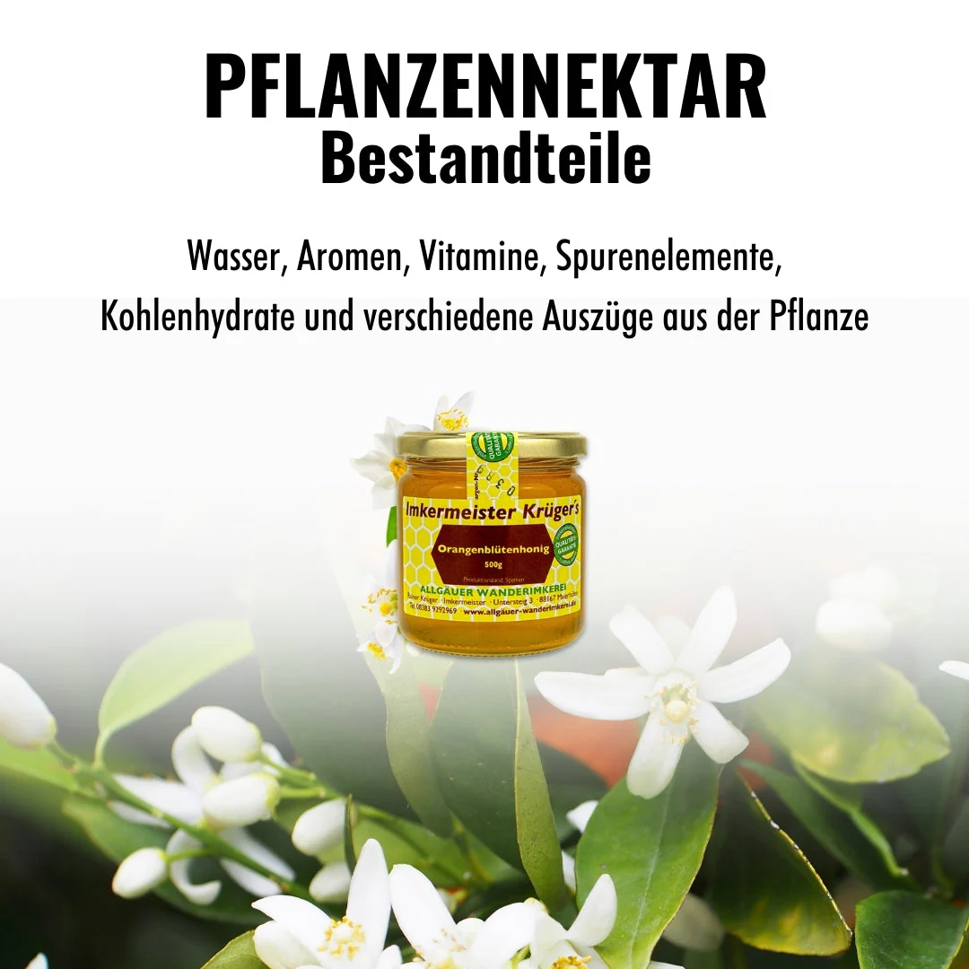 Orangenblütenhonig 500g - Image 5