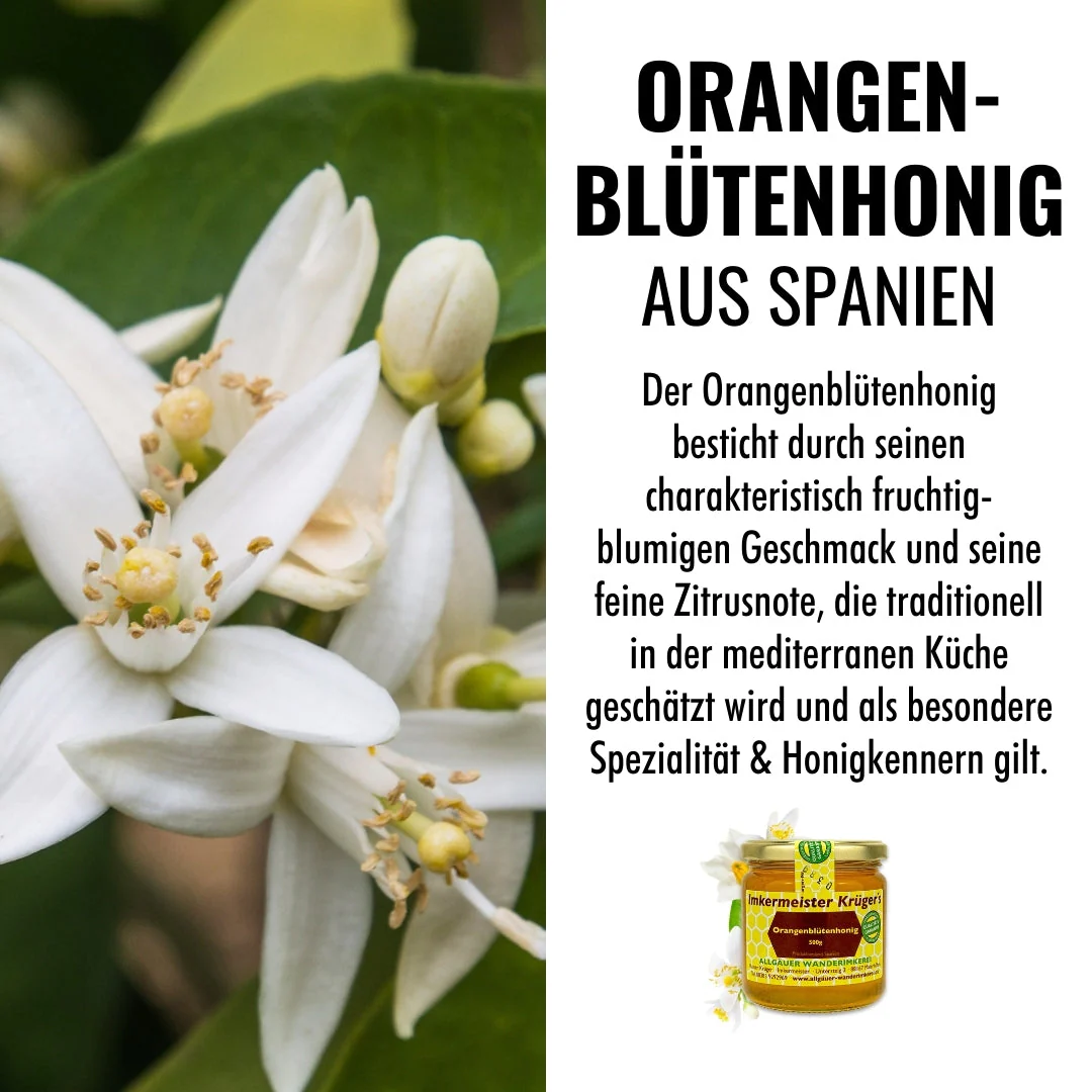 Orangenblütenhonig 500g - Image 6