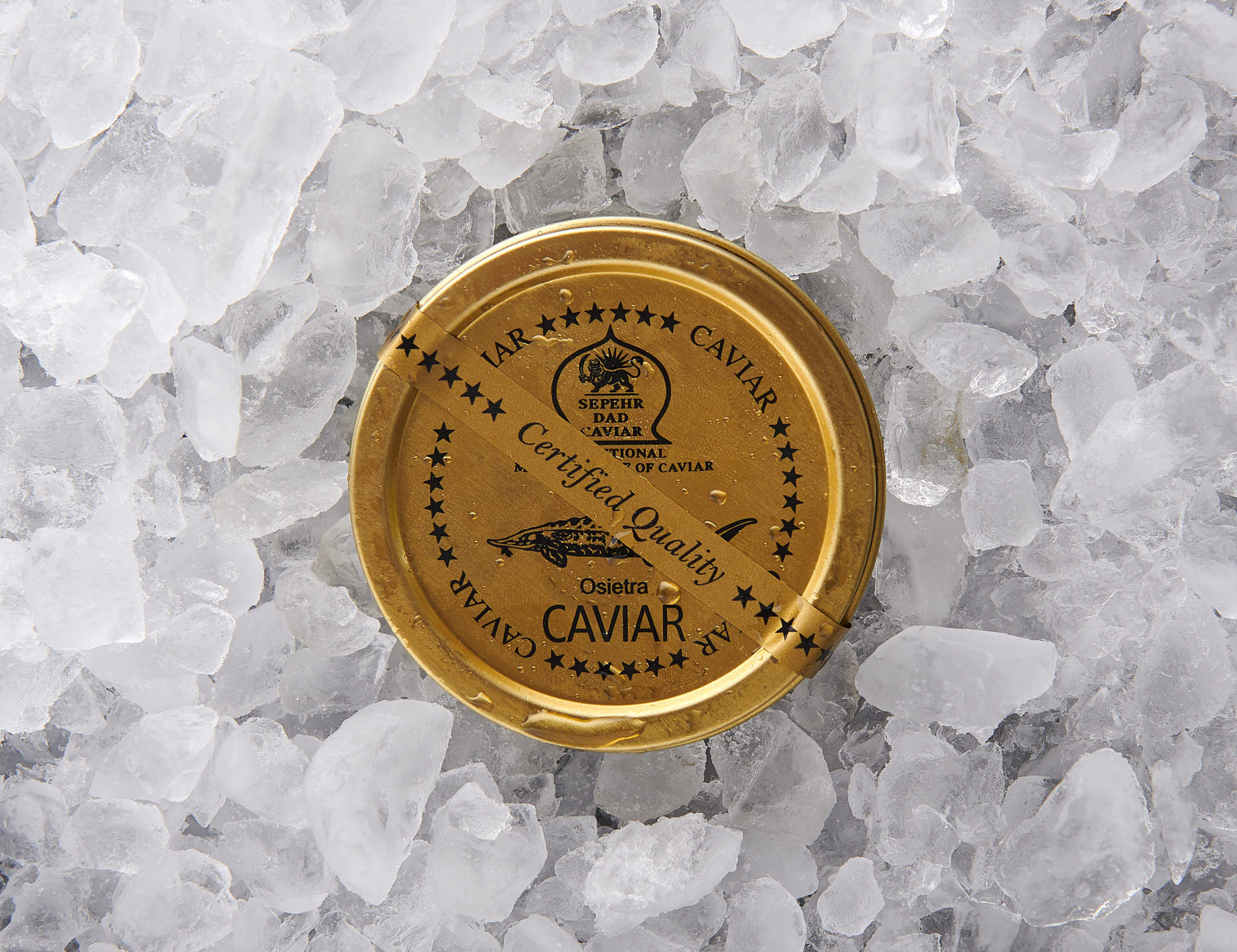 Osietra Caviar - SEPEHR DAD CAVIAR