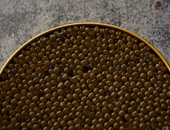 Osietra - Classic Caspian Caviar - Image 2