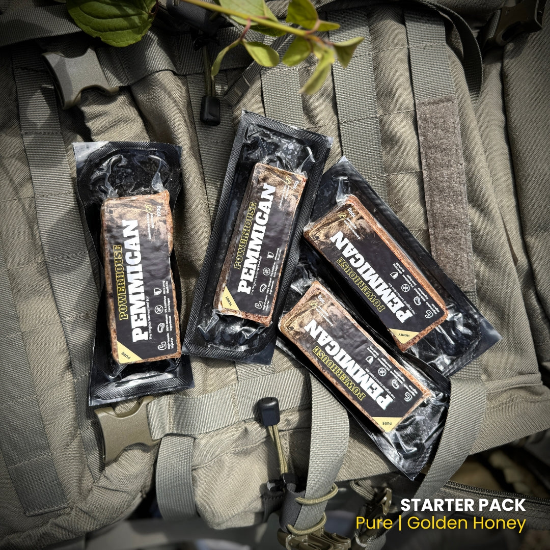 Powerhouse Pemmican - STARTER PACK - Image 2