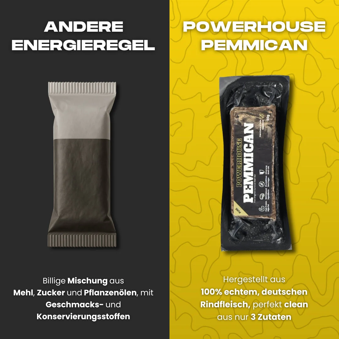 Powerhouse Pemmican - VARIETY BUNDLES - Image 4