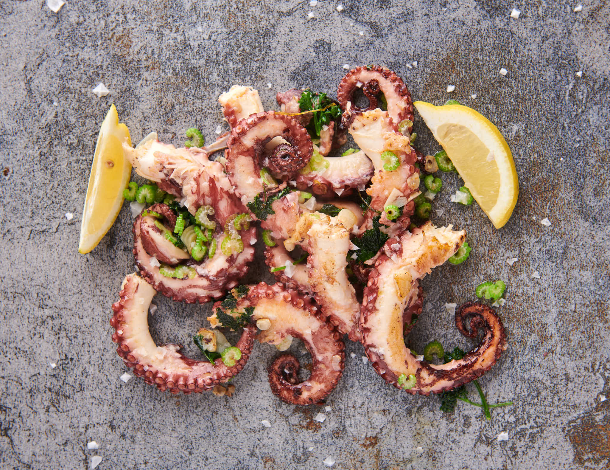 Pulpo - Octopus vulgaris - Image 2