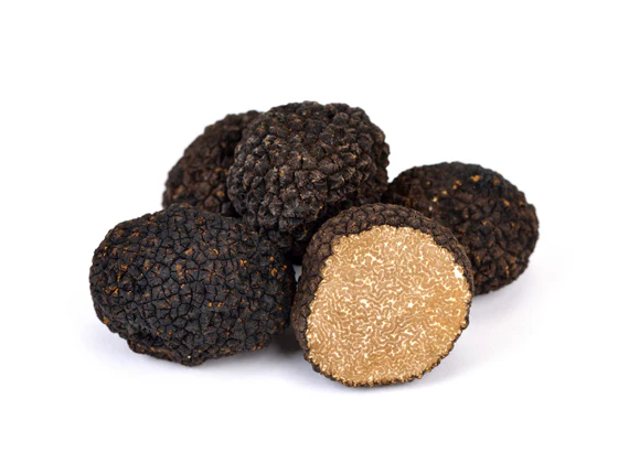 Schwarze Herbst Trüffel - Tuber Uncinatum