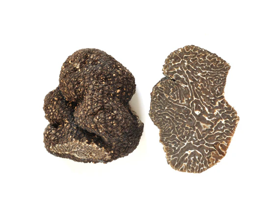 Schwarze Winter Trüffel - Tuber Brumale