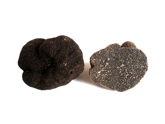 "Schwarze Winter Trüffel - Tuber Melanosporum"