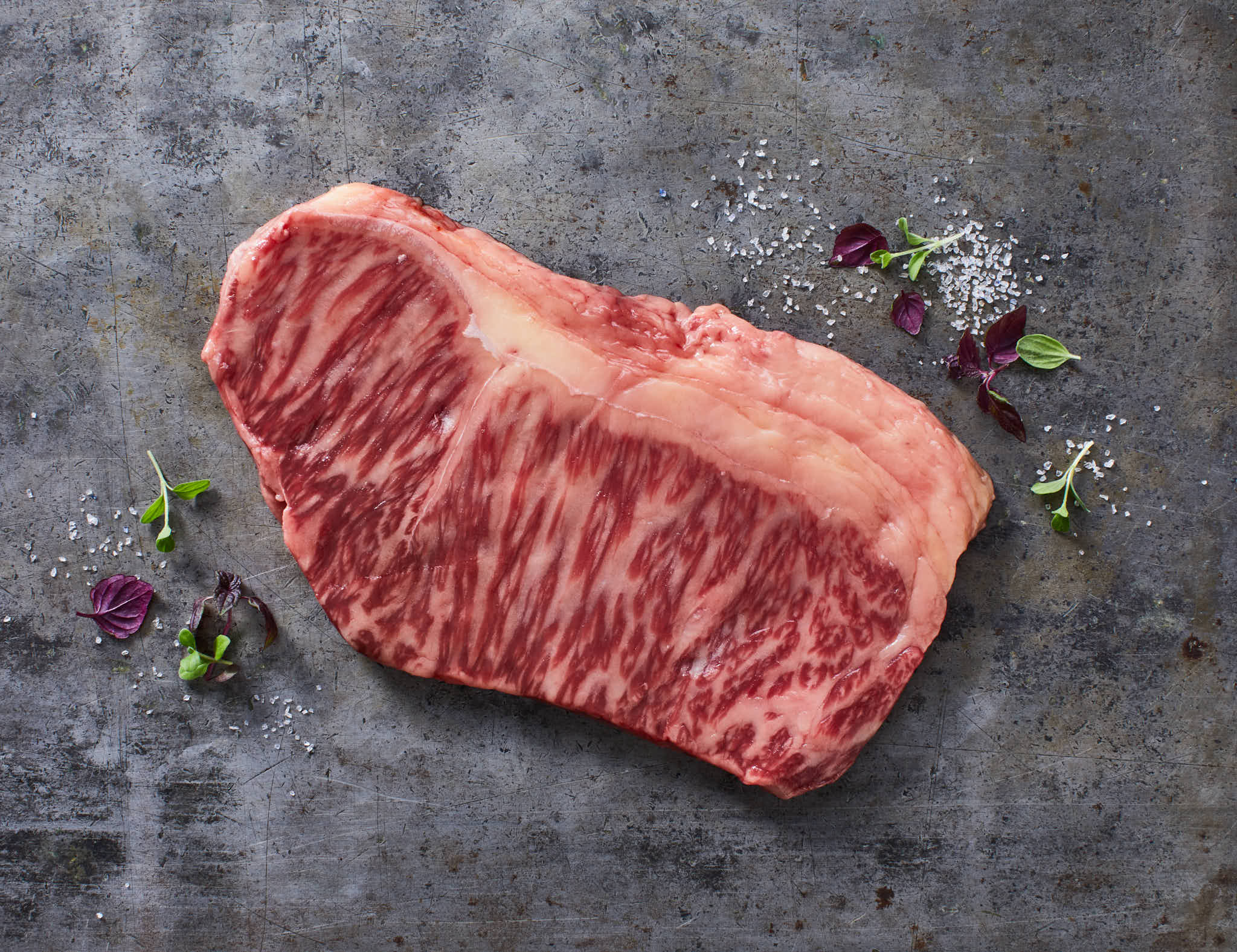 Wagyu Waiz - Wagyu Rind Boxen - Image 3